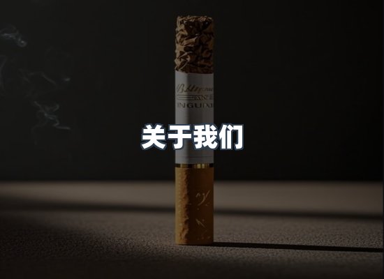 关于我们